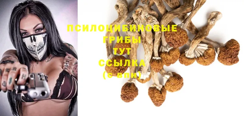 Галлюциногенные грибы MAGIC MUSHROOMS  Струнино 